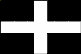 St Piran Banner